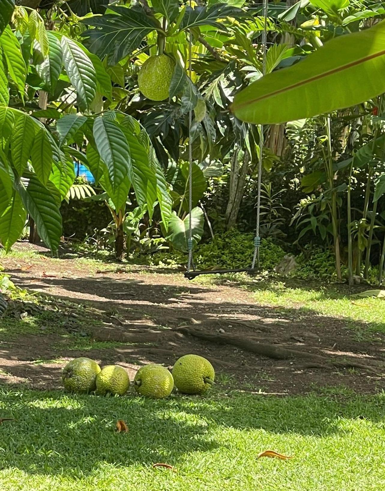 Pk 35 Villa Apomaoro Bagian luar foto